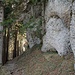 in Ramsten geht der Wanderweg an einer wuchtigen Nagelfluh Wand vorbei