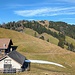 Aussicht von der Göbsi hinauf zur Hundwiler Höhi