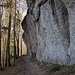 in Ramsten geht der Wanderweg an einer wuchtigen Nagelfluh Wand vorbei