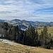 nun geht es weiter durch den Wald hinunter nach Knechtsegg