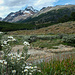 Valle Carbajal mit Margheriten
