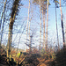 ... in herrlichem Ambiente