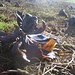 Fund an einem Feld