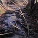 Rückblick - hier checke ich den Seitlichen Zulauf und mehrfach meine Balance-Fähigkeiten zum Überqueren