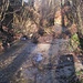 Licht und Schatten verzaubern mich und das Areal