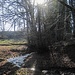 ... welch Idyll