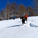 Discesa in libera nella neve fresca