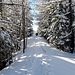 Breve dorsale dopo Pian Toi per scendere verso Rutan