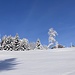 ... und Blick hoch zu unserer Rasthütte