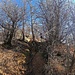 Sentiero dei Morti in Brenta
