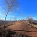 Colline Rosse