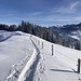 unser Weiterweg auf dem Kammrücken ...