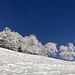 prächtige, sonnig-winterliche, Silhouette ...