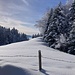 ... zum bekannten lauschigen Rastplatz (bei der Hütte auf 1074 m) ...