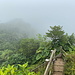 Unterwegs auf dem Mount Scenery - Ausblick in etwa westliche Richtung. Hinten könnte ggf. der "Westgipfel" im Nebel durchlugen. In jedem Fall ist vorn die Holztreppe zu erkennen, die fast bis an die Vermessungssäule heranführt.