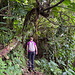 Unterwegs auf dem Elfin Forest Trail - Auf schmalem Pfad durch meist steiles Gelände mit viel Grün.