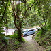 Im Abstieg auf dem Mount Scenery Trail - Bei Winwardside wird die Hauptstraße der Insel, aka "The Road", erreicht. Dort befindet sich auch der "Trailhead"...