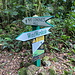 Im Abstieg auf dem Mount Scenery Trail - Kurz vor dem Ende unserer Wanderung machen wir noch einen kleinen Abstecher zum Maskehorne Hill/Mas’Cohones.