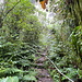 Unterwegs auf dem Mount Scenery - Auf dem weiteren Weg über den weitläufigen Gipfelbereich folgen wir nun dem Mount Scenery Trail bzw. davon abzweigenden Stichwegen.