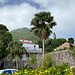 In Windwardside - Blick zum Mount Scenery, dessen Sendemast hinten im Dunst zu erkennen ist.
