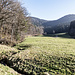 Im  weit geschwungenen Wittenbachtal. Am linken Bildrand in den bewaldeten Hang gestiegen, der vom Bach angeschnittten wird.