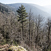 ... auf ein kleines Felsplateau mit tollem Blick. Dann nach Norden gewandt, bissel durchs Unterholz und schon bald stehe ich ...