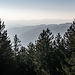 ... den Blick gen Elztal zu richten. 