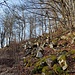 Rückblick auf das "Steinerne Meer" des Staffelberges, kommt wohl daher, dass hier früher Granit abgebaut wurde und das die unbrauchbaren Überreste waren.