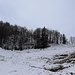 hinter der Haraualm hinauf zum Sattel