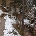 Aufstieg im schönen Josefstal