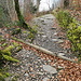 der Weg ins Tal ist noch weit
