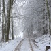 A la lisière de la forêt au-dessus de Linn