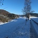 La forêt fait place à un paysage plus ouvert