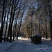 Un joli chemin typiquement jurassien