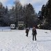 auf der Gipfelwiese