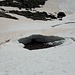 Hier mal lieber bissl Abstand halten und hoffen, dass der Schnee hält (einmal bin ich eingebrochen, aber zum Glück nur wenig Wasser drunter).