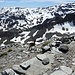 Eine Gämse (?) vor "meiner" Hütte.