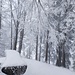 Schwarzenberg mit Neuschnee und Nebel