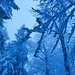 Schwarzenberg mit Neuschnee und Nebel