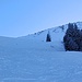nieve blandita