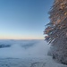 Knapp über dem Nebel