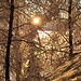 Morgensonne!