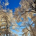 Blauer Himmel