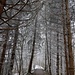 Sur la digue entre le Fallbach et la Gürbe