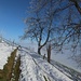 Le sentier entre Dornere et Stauffenbühl