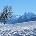 Niesen