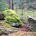 Ähnlich wie im Schwarzwald liegen viele Felsbrocken im Wald herum