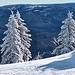 Wunderschöne Winterimpressionen