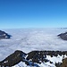 Blick gen den Feldberg...