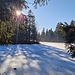 Der gefrorene Moorsee, Etang de la Gruere.